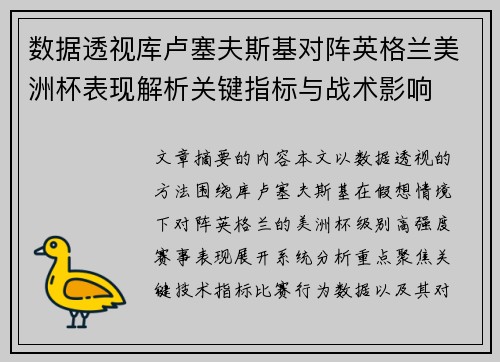 数据透视库卢塞夫斯基对阵英格兰美洲杯表现解析关键指标与战术影响